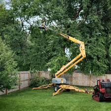 Best Sod Installation  in Evansburg, PA