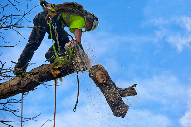 Soil Testing and Treatment in Evansburg, PA